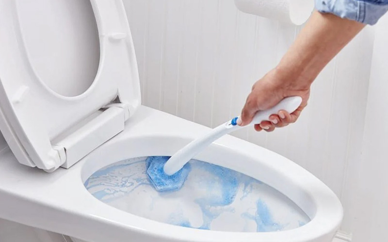 Toilet Cleaning