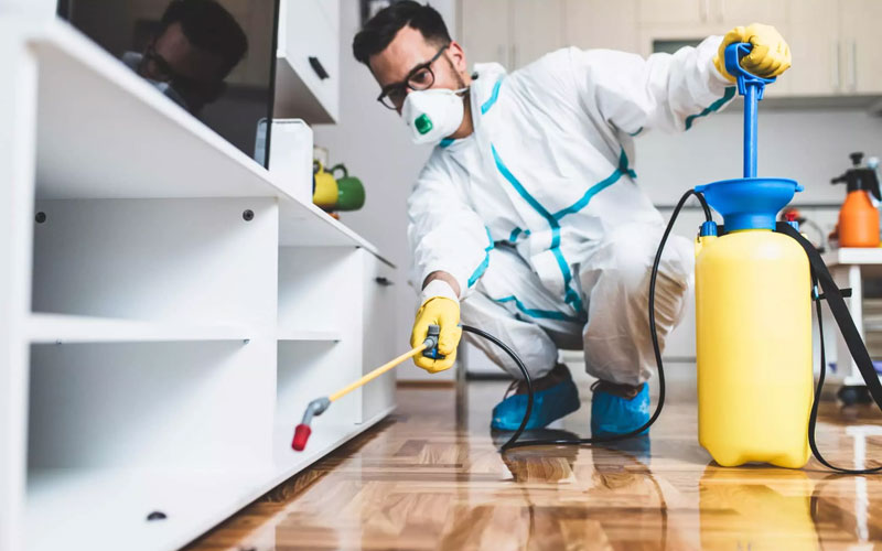 Pest Control